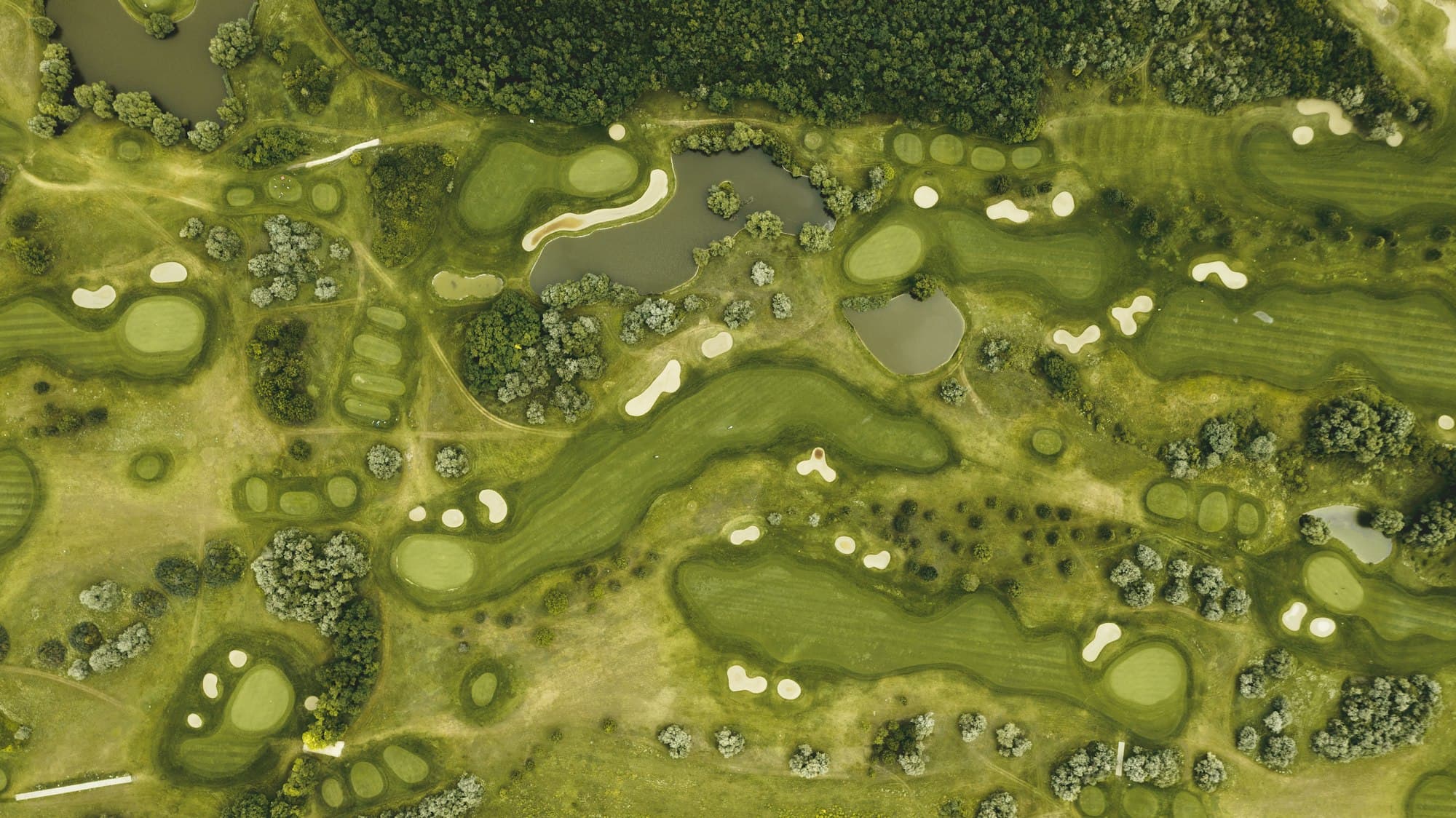Aerial view of a golf course